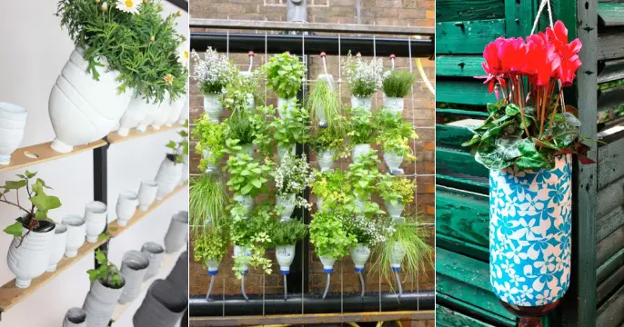 Creative Ways to Use an Old Bottle: Vertical Garden