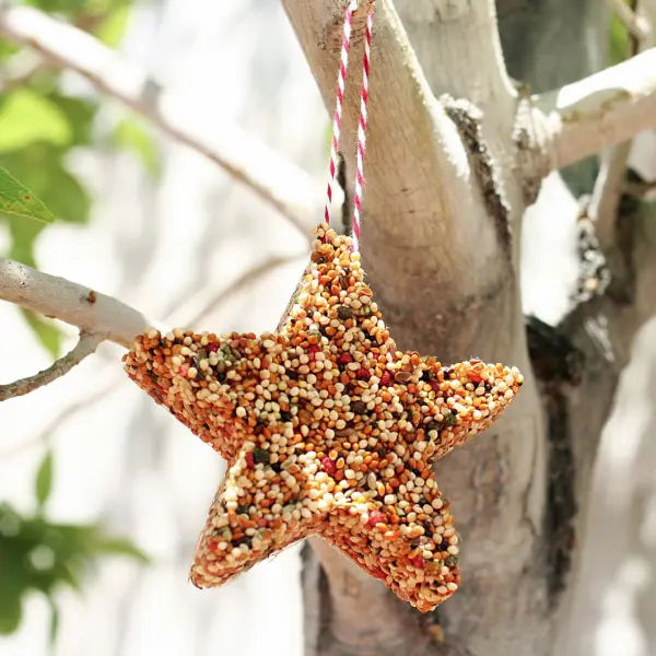 Cookie Cutter Bird Feeder