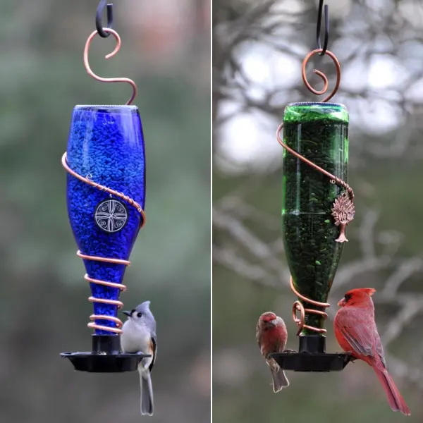 Glass Bottle Bird Feeder