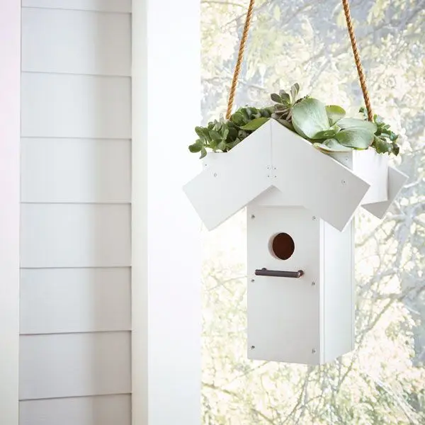 Green Roof Birdhouse