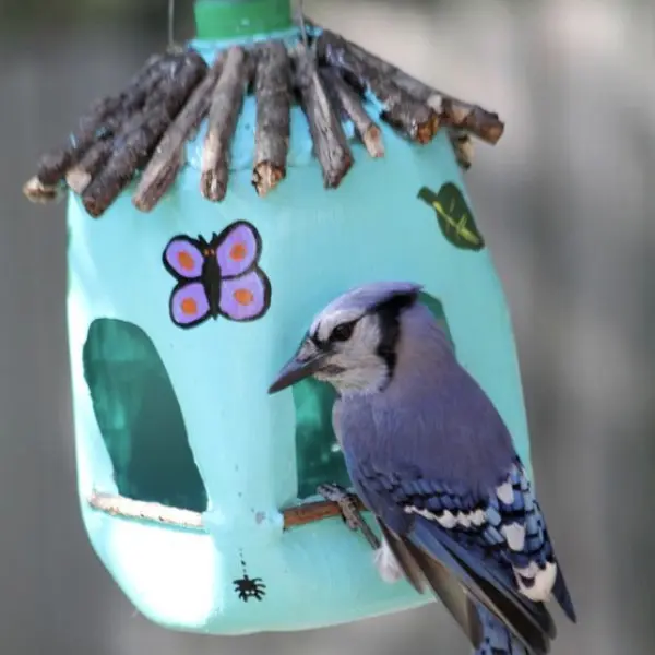 Milk Jug Bird Feeder