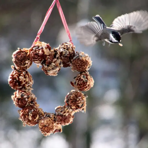 Pinecone Bird Feeder