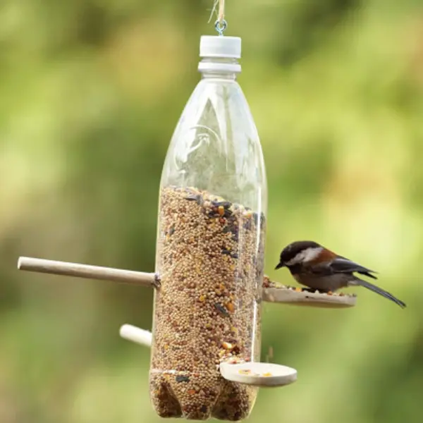 Soda Bottle Bird Feeder